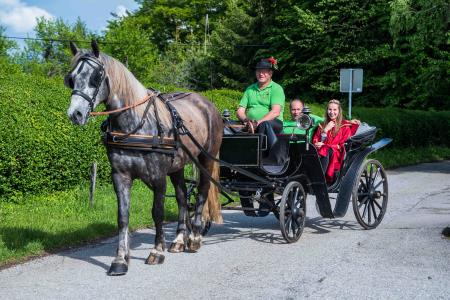 Na Debelem hribu zasadili potomko najstarejše trte na svetu 12